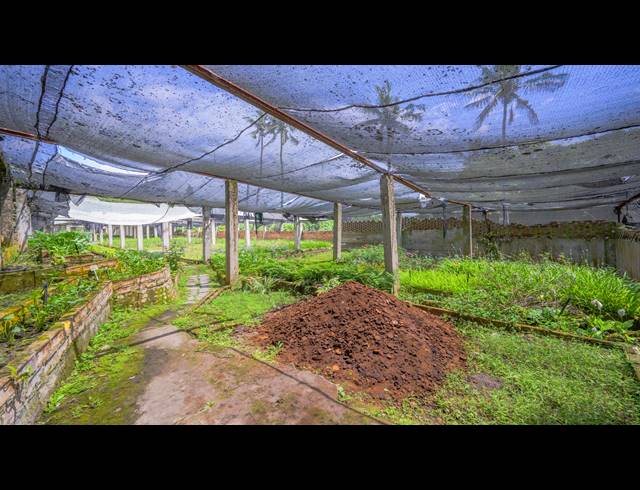 70,140M² FARM FOR SALE IN BALLITO CENTRAL